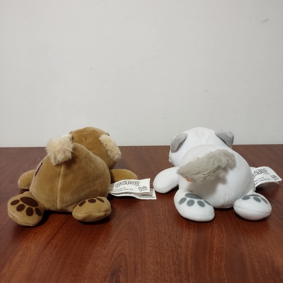 CuteTitos 2019 Basic Fun Series 2 White Catito Cat & Brown Bearito Bear - Picture 2 of 5